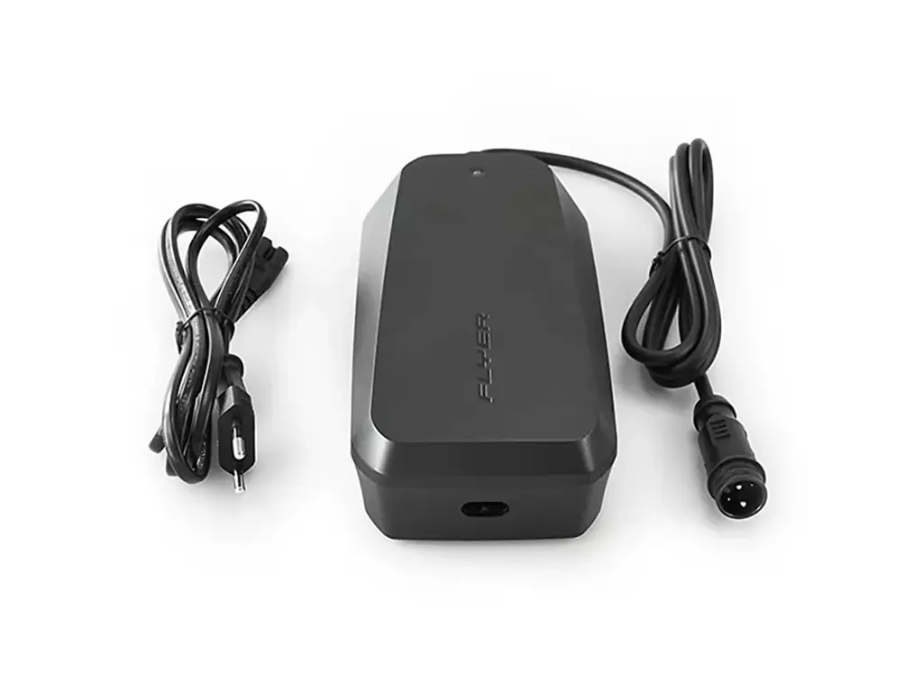 SIB 2 und STB Akkus 36 V Ladegerät (Output 6A)