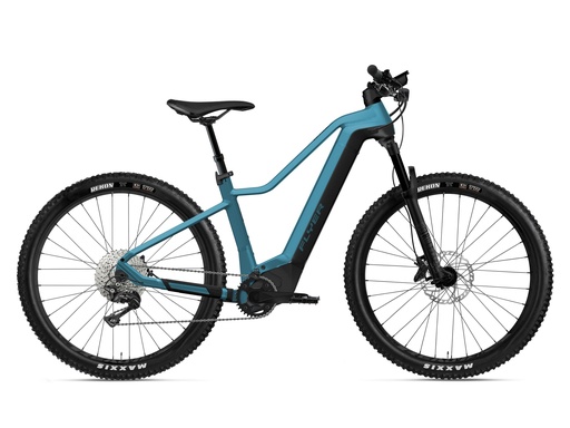 Xl hardtail deals