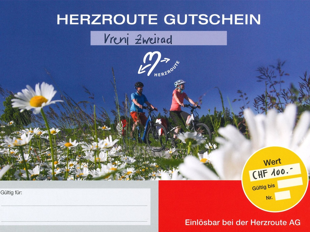 Gutschein E-Bike Shop CHF 100